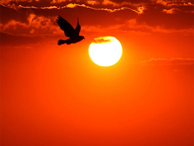 Calor Predominará no Feriadão de Páscoa em Todo o Paraná Calor Predominará no Feriadão de Páscoa em Todo o Paraná