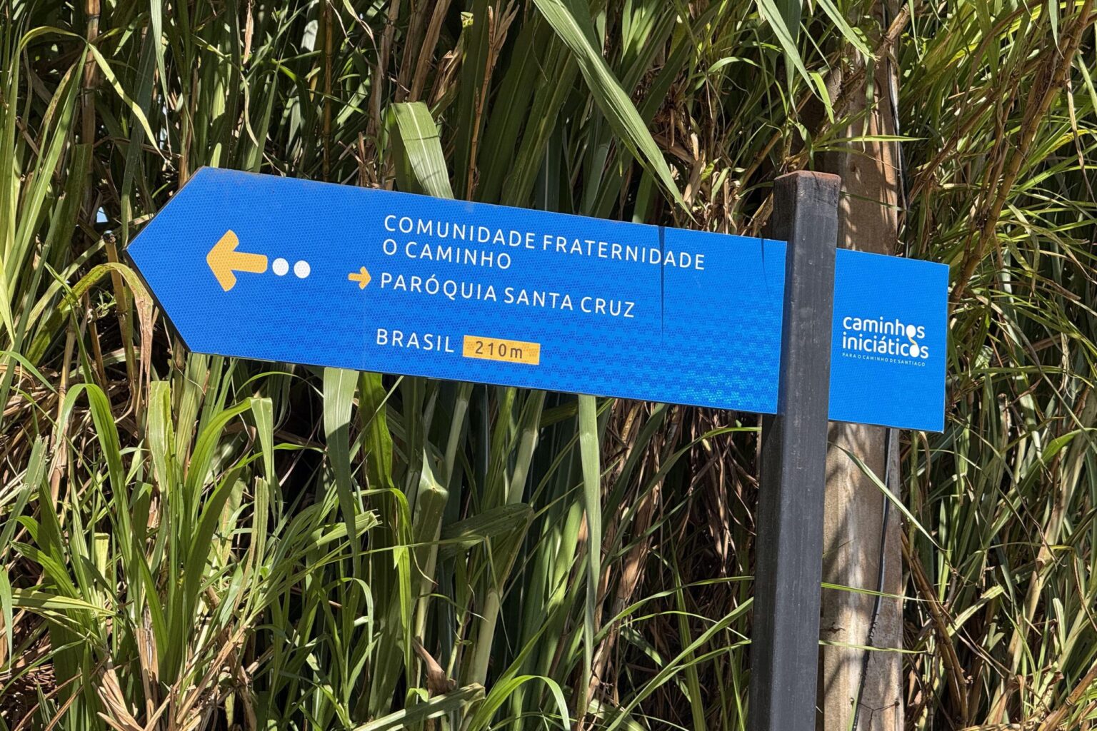 Reality Show Revela o Caminho de Turismo Religioso no Paraná