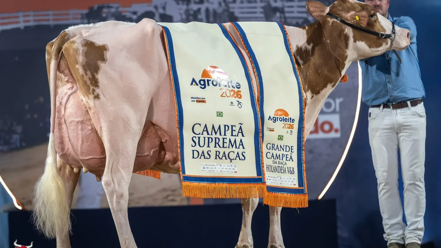 Vaca do Paraná conquista título máximo na 26ª Agroleite, maior evento de tecnologia leiteira da América Latina Vaca do Paraná conquista título máximo na 26ª Agroleite, maior evento de tecnologia leiteira da Amér