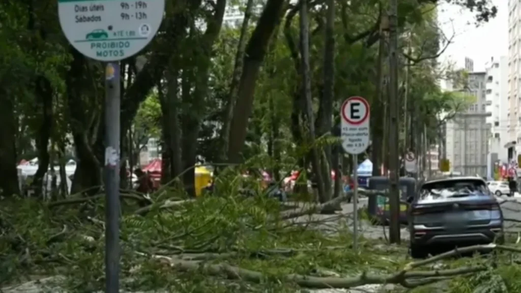 Queda de galho na Praça Osório fere mulher e danifica carro após chuva intensa