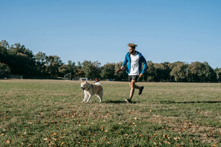 Saúde Mental em Alta: Como Investir em Hobbies Pode Transformar Sua Vida em 2026 Saúde Mental em Alta: Como Investir em Hobbies Pode Transformar Sua Vida em 2026