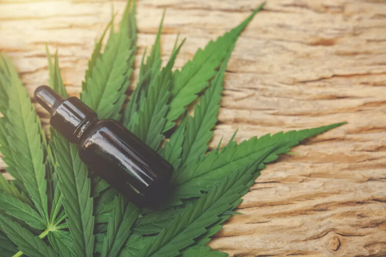 A Revolução da Cannabis Medicinal no Brasil: Avanços e Implicações