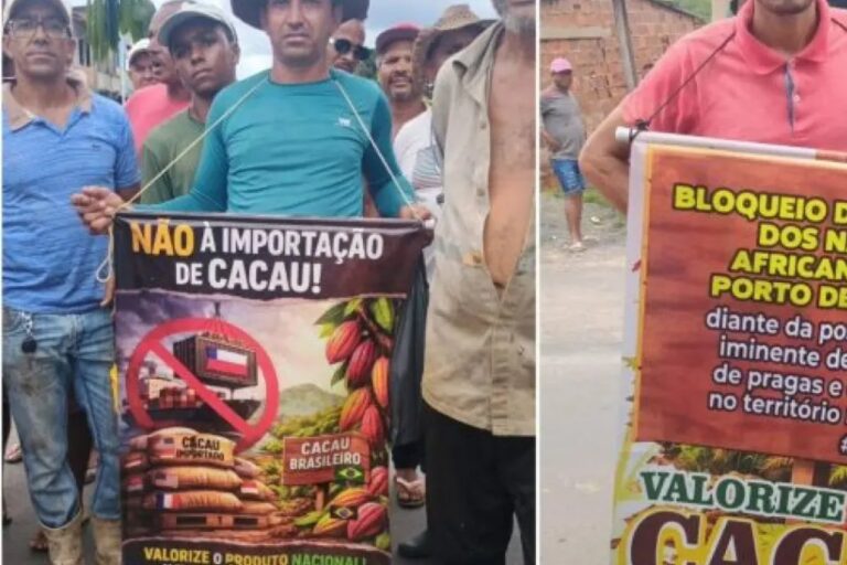 Governo Federal Suspende Importações de Cacau da Costa do Marfim em Decisão Importante