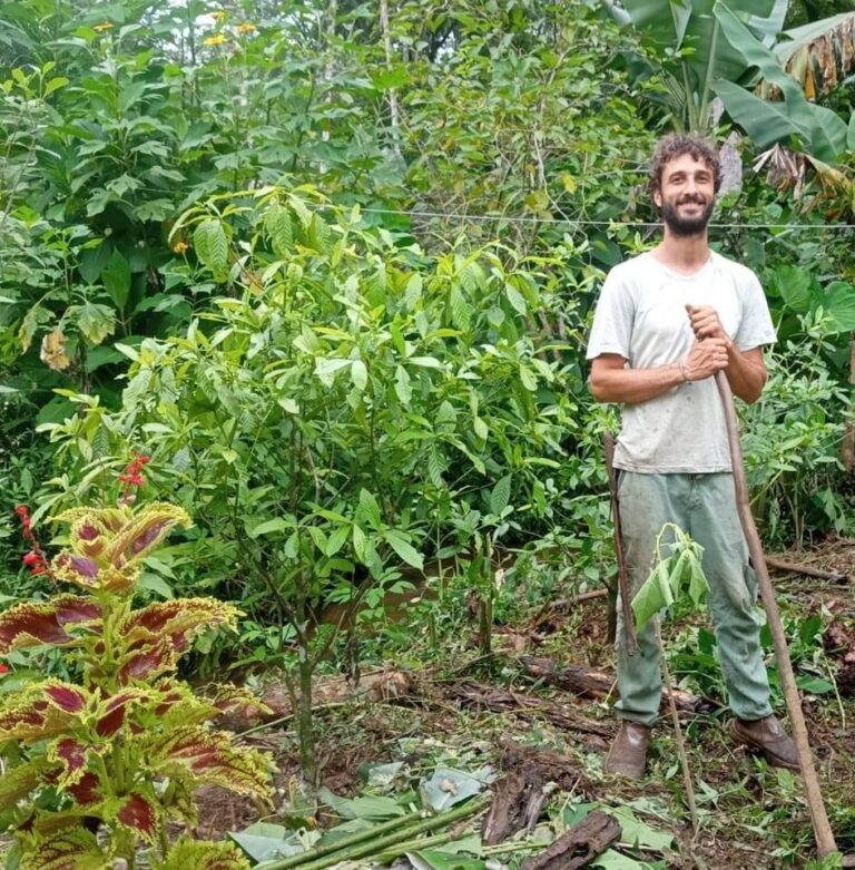 Cultivo de Cacau no Paraná: Uma Nova Fronteira no Coração da Mata Atlântica
