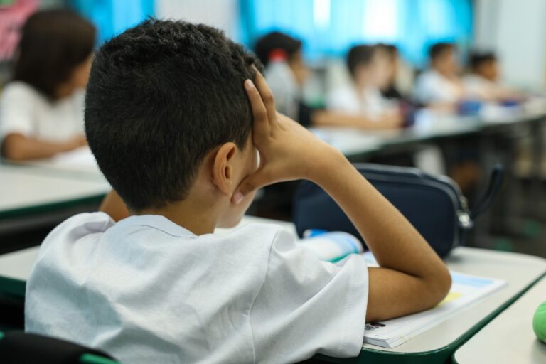 Senado Aprova o Novo Plano Nacional de Educação: Um Marco para o Futuro da Educação Brasileira