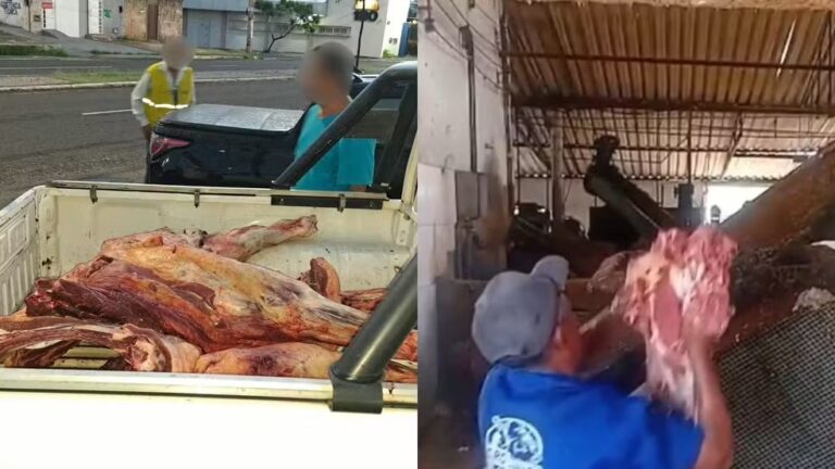 Apreensão de mais de 200 kg de carne bovina sem inspeção em Teresina