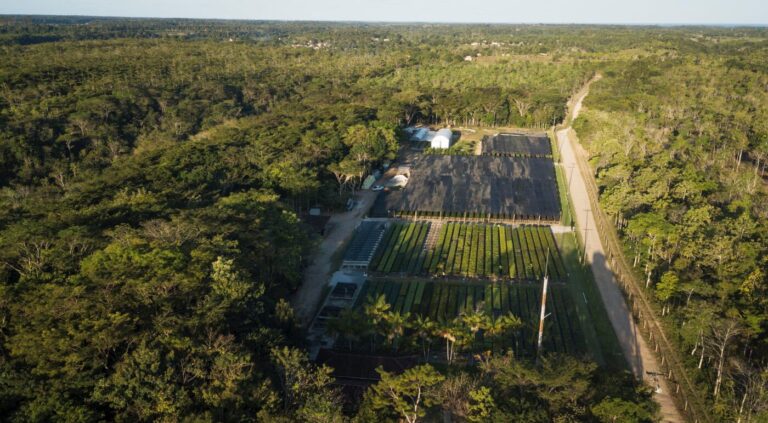 BNDES Executa Desembolso de R$ 26 Milhões para Projeto Sustentável na Bahia