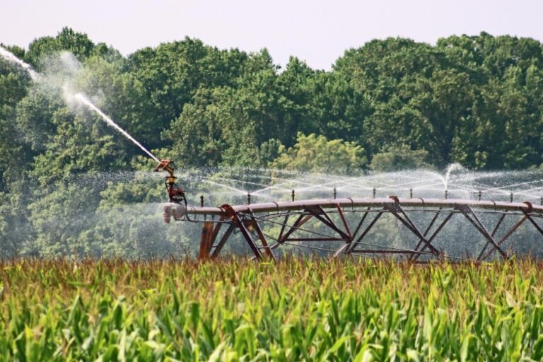Irrigação: Potencial para Aumentar Produtividade e Empregos no Brasil, Revela Estudo da ABIMAQ e USP Irrigação: Potencial para Aumentar Produtividade e Empregos no Brasil, Revela Estudo da ABIMAQ e USP