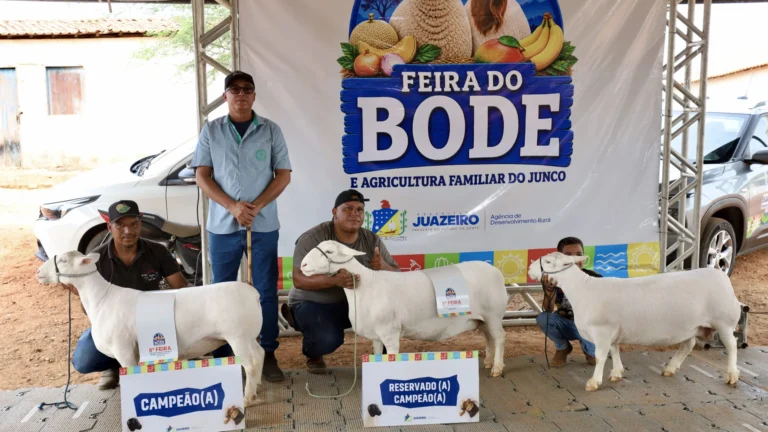 8ª Feira do Bode impulsiona agricultura familiar e economia local em Juazeiro
