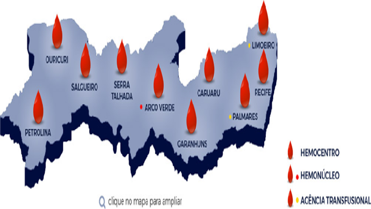 Hemope Faz Apelo Urgente: Estoques de Sangue Críticos em Pernambuco Hemope Faz Apelo Urgente: Estoques de Sangue Críticos em Pernambuco