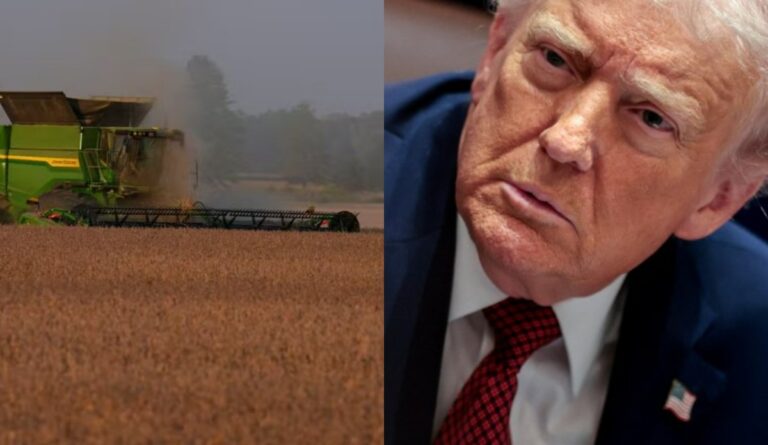 Agricultores dos EUA Avaliam Ajuda de US$12 Bi de Trump: ‘Apenas um Alívio Temporário’ Imagem do artigo