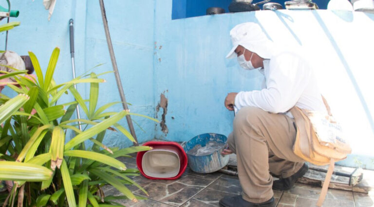 Levantamento aponta alto índice de Aedes aegypti em apenas dois municípios sergipanos Levantamento aponta alto índice de Aedes aegypti em apenas dois municípios sergipanos