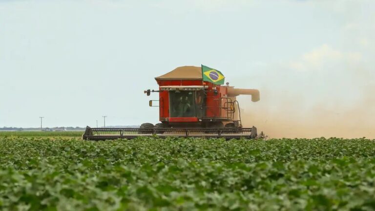 Queda da Agropecuária Indica Início Fraco para a Economia em 2026