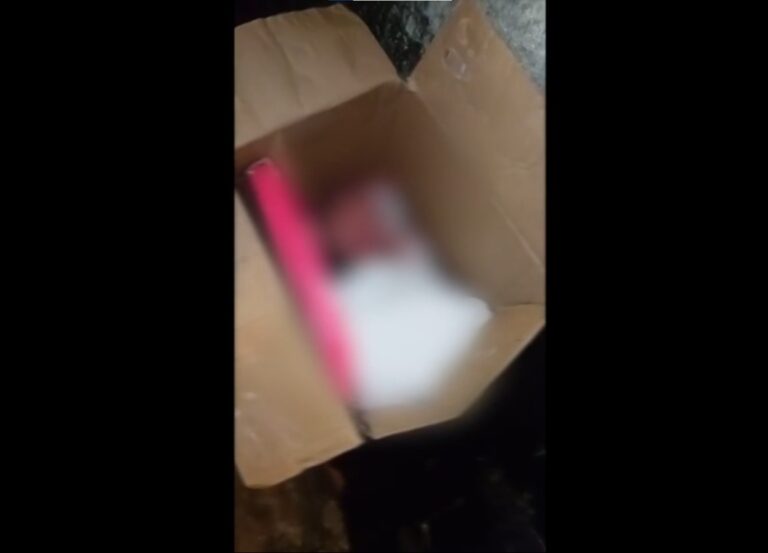 Bebê Abandonado em Caixa de Papelão: O que Sabemos até Agora