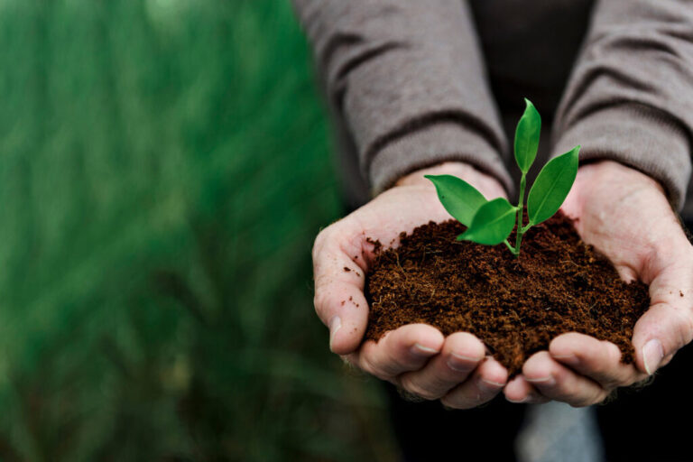 Caruaru Recebe Lançamento do PNAE Agroecológico: Uma Conexão Vital entre Agricultura Familiar e Alim