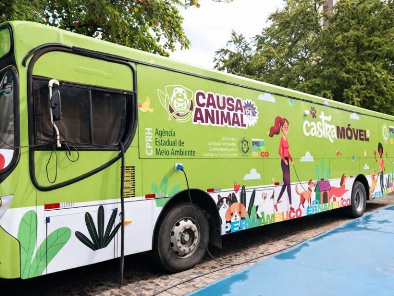 Programa de Castração em Pernambuco: Iniciativa Gratuita Chega a Caruaru