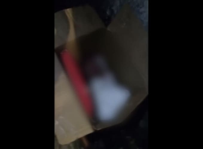 Recém-nascido Abandonado Em Pernambuco: Uma Tragédia Que Choca o Agreste Recém-nascido Abandonado Em Pernambuco: Uma Tragédia Que Choca o Agreste