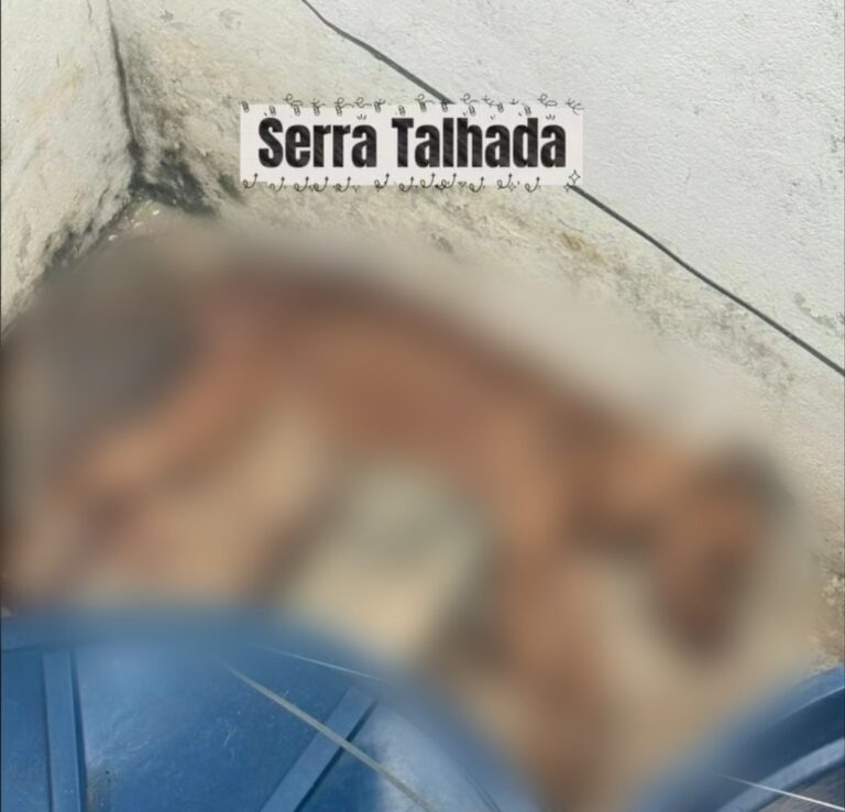 Advogado e Vereador de Caruaru Denuncia Maus-Tratos a Animais em Serra Talhada Advogado e Vereador de Caruaru Denuncia Maus-Tratos a Animais em Serra Talhada