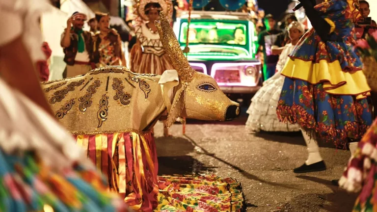 Trupe Pernambuco Meu País anima Caruaru com cortejo cultural pelas ruas