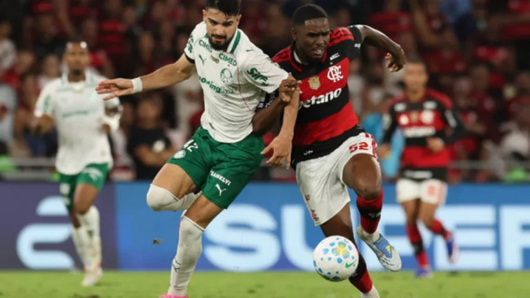 Flamengo assume liderança do Brasileirão com 66% de chance de título