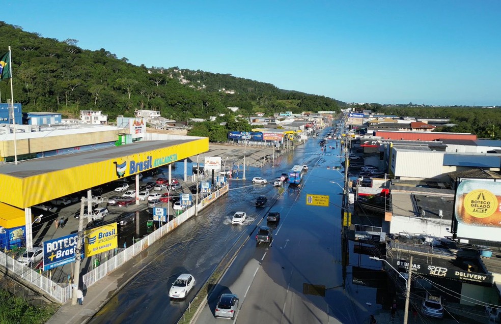 Temporal Devasta São Joaquim (SC) e Prejudica Pomares de Maçã Temporal Devasta São Joaquim (SC) e Prejudica Pomares de Maçã