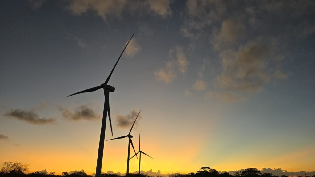 Filho do Vento: Impactos Culturais e Ambientais da Energia Eólica no Nordeste