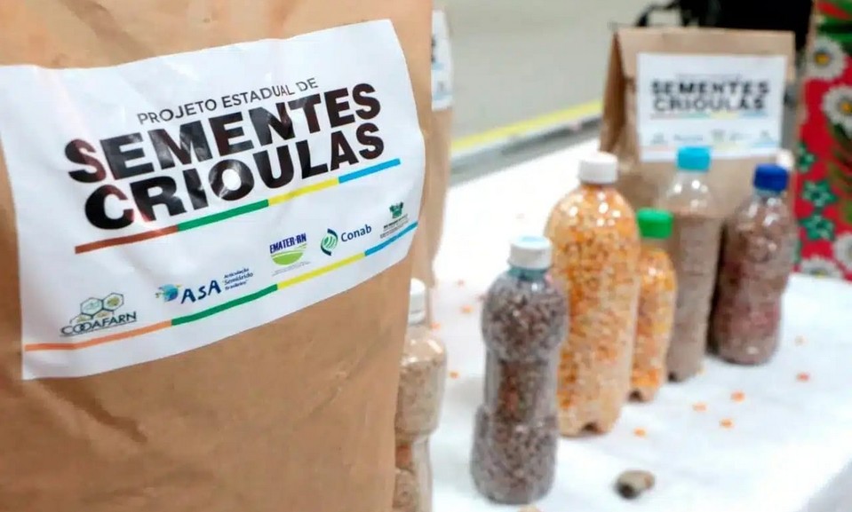 Emater em Mossoró Inicia Distribuição de Sementes com Reunião Estratégica Emater em Mossoró Inicia Distribuição de Sementes com Reunião Estratégica