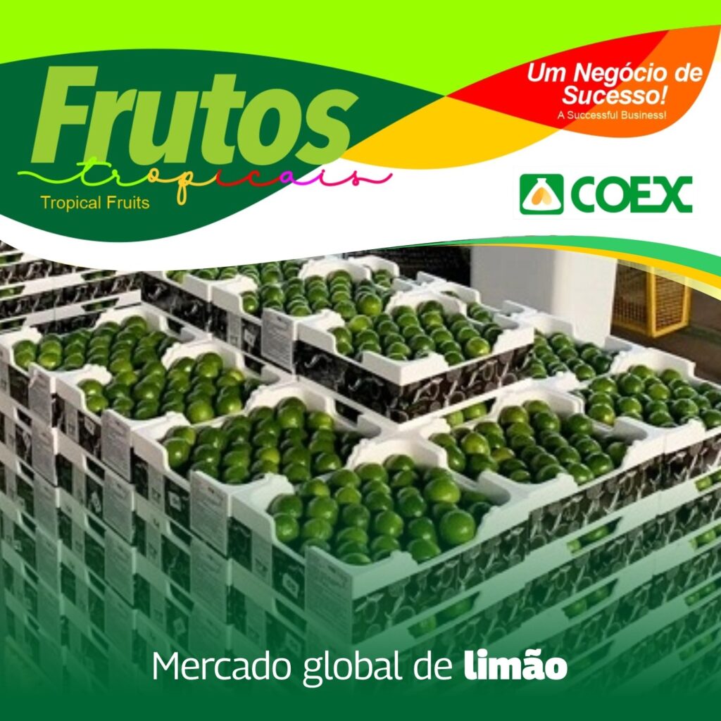 Crescimento Exponencial da Balança Comercial do RN em Uma Década Crescimento Exponencial da Balança Comercial do RN em Uma Década