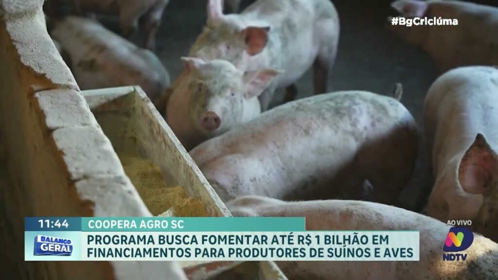 Coopera Agro SC: Programa Estadual Destina R$ 1 Bilhão ao Agronegócio Coopera Agro SC: Programa Estadual Destina R$ 1 Bilhão ao Agronegócio