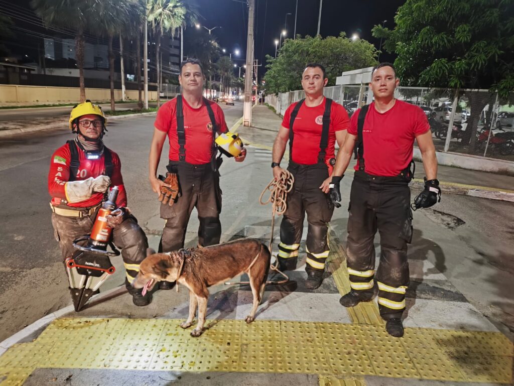 Bombeiros do RN Resgatam Cachorro Preso em Rede de Esgoto em Mossoró