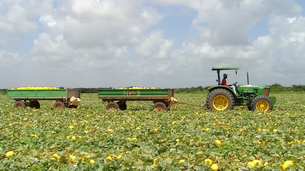 Fechamento de 2,2 mil vagas de emprego no RN em fevereiro: Impacto da Agropecuária Fechamento de 2,2 mil vagas de emprego no RN em fevereiro: Impacto da Agropecuária