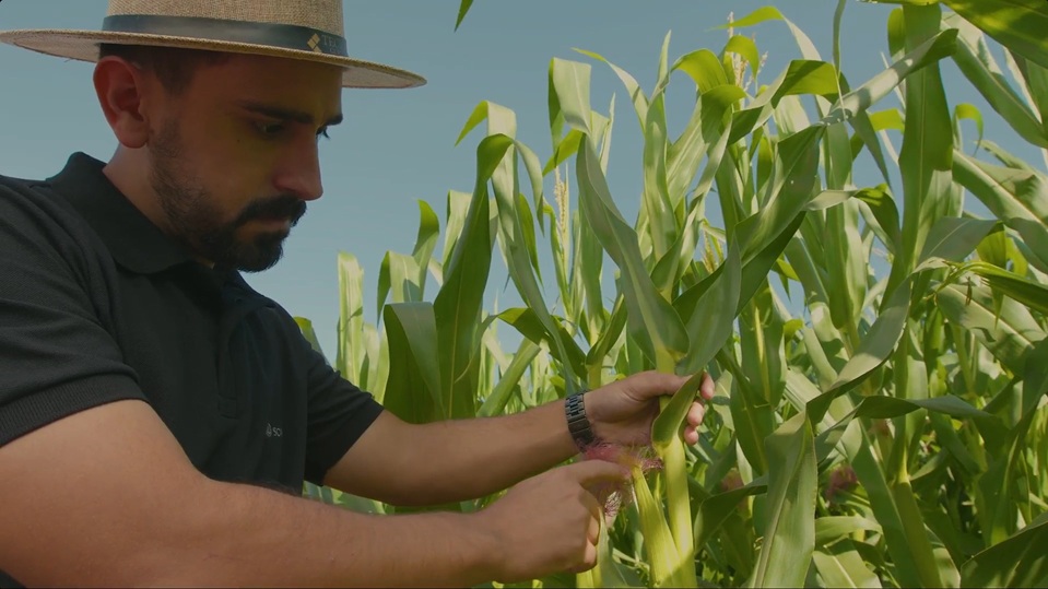 SompoAgro: A Nova Iniciativa da Sompo para Dialogar com o Agronegócio SompoAgro: A Nova Iniciativa da Sompo para Dialogar com o Agronegócio