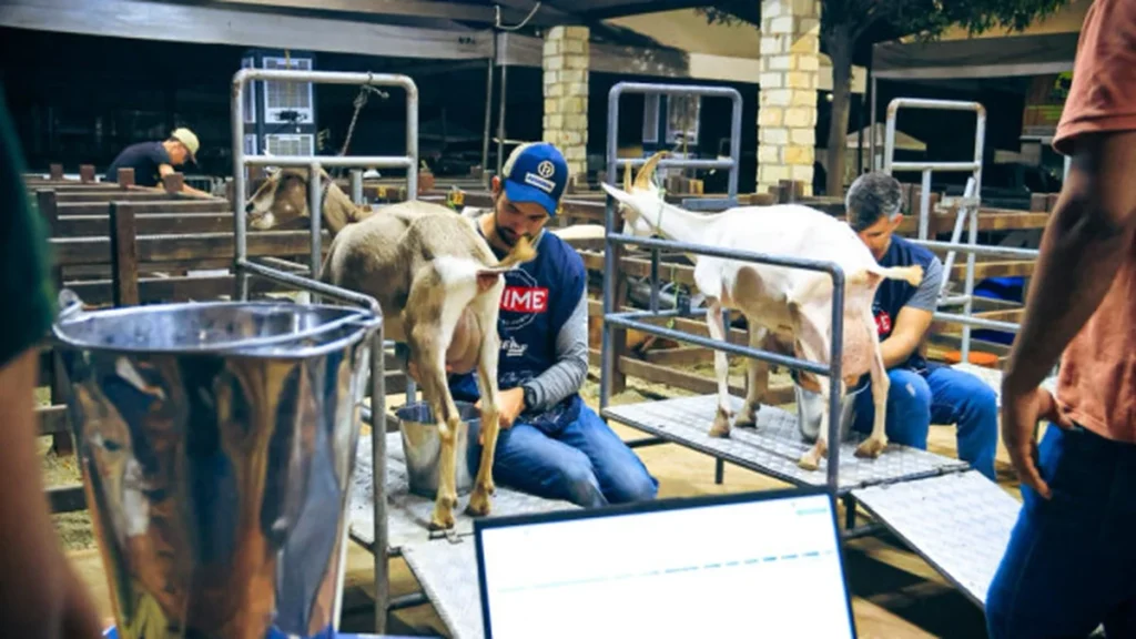 Festa do Bode impulsiona economia local e amplia oportunidades de emprego em Mossoró