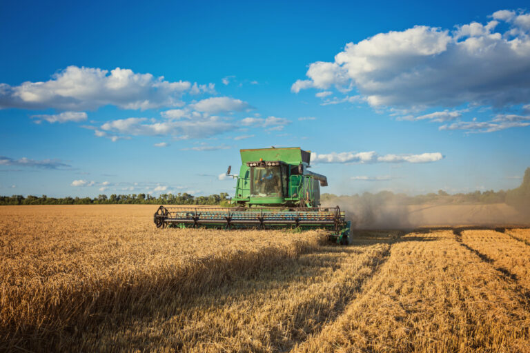Agronegócio Brasileiro Alcança Produção Recorde em 2025 e Expande Mercados Internacionais Agronegócio Brasileiro Alcança Produção Recorde em 2025 e Expande Mercados Internacionais