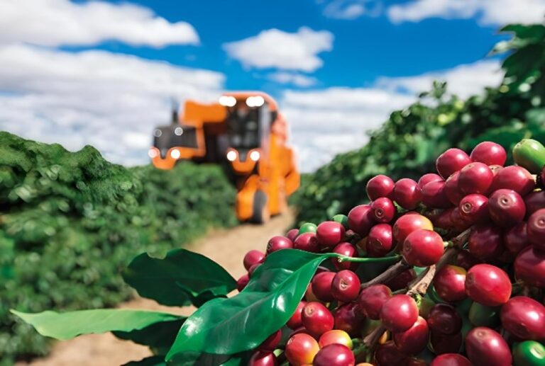 Café Experiencia Queda Significativa em Fevereiro com Estimativas de Safra Recorde Café Experiencia Queda Significativa em Fevereiro com Estimativas de Safra Recorde