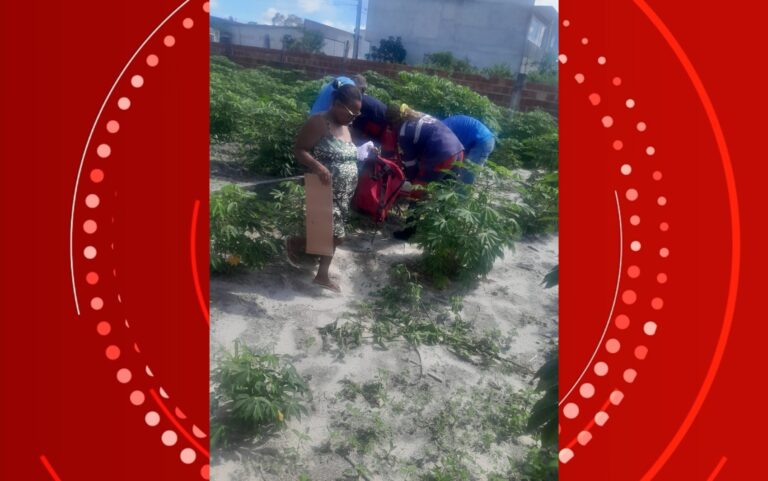 Idoso de 73 anos sofre grave acidente ao capinar terreno na Bahia