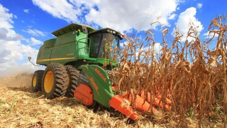 Crise no Oriente Médio: Impactos e Desafios para o Agronegócio em Rondônia Crise no Oriente Médio: Impactos e Desafios para o Agronegócio em Rondônia