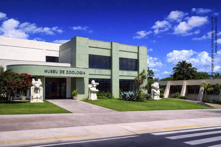 Museu de Zoologia da UEFS: Acervo Científico de Mais de 40 Mil Insetos e Visitas Orientadas