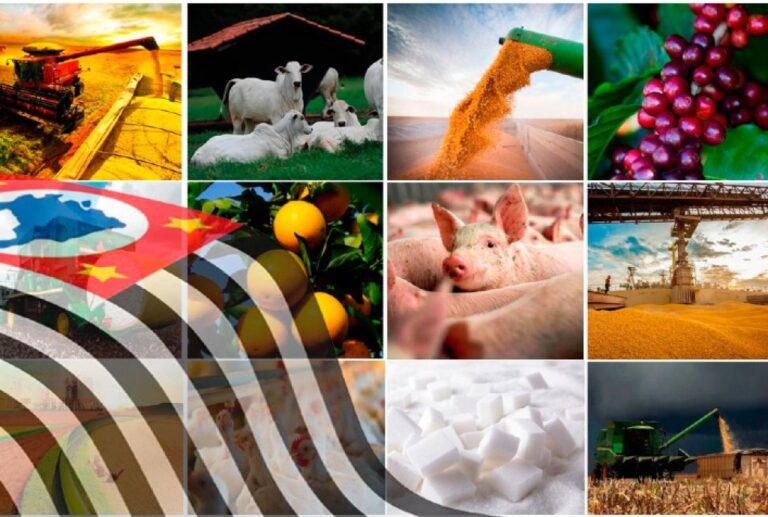 Tensões no Oriente Médio: Implicações para o Agronegócio Paulista e Nacional Tensões no Oriente Médio: Implicações para o Agronegócio Paulista e Nacional