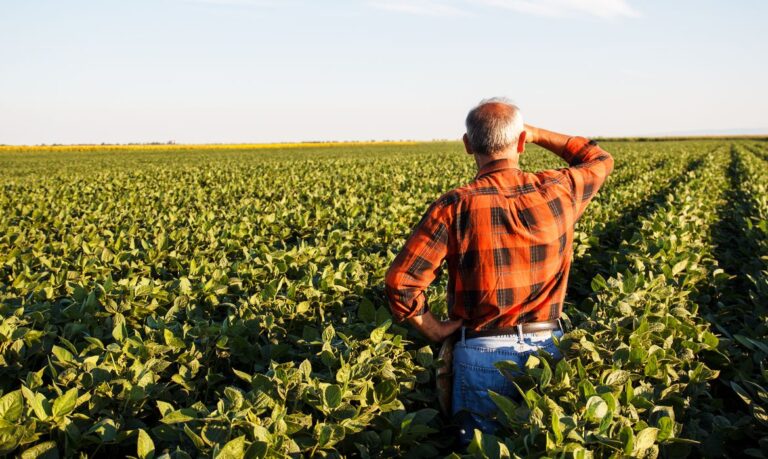 Crédito de ICMS: Potencial Não Explorado que Pode Impulsionar o Agronegócio Sem Aumentar Dívidas