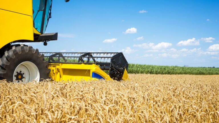 Lineares Amarelas: Pilar de Eficiência no Agronegócio - Agrishow 2026