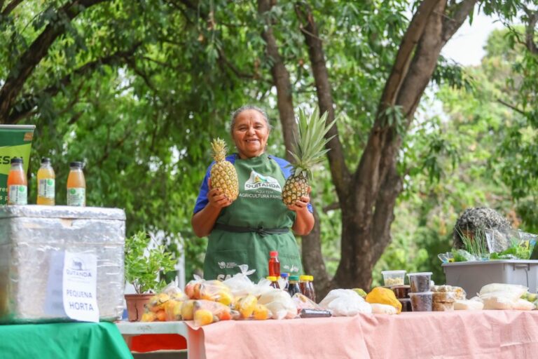 Quitanda da Agricultura Familiar: Um Festival de Sabores e Culturas em Parnaíba Quitanda da Agricultura Familiar: Um Festival de Sabores e Culturas em Parnaíba