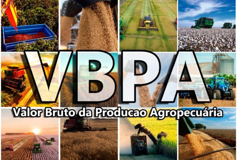 Mato Grosso Domina o Agronegócio Brasileiro com R$ 206 Bilhões em Produção em 2026