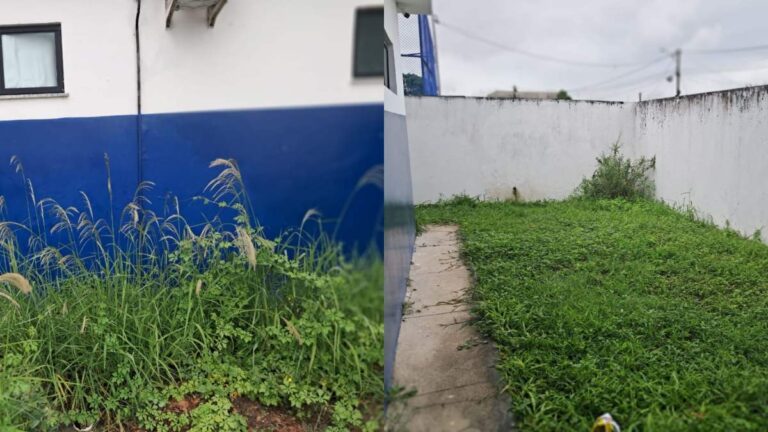 Problemas Urbanos em Feira de Santana: Debate na Câmara Municipal Após Programa Acorda Cidade Problemas Urbanos em Feira de Santana: Debate na Câmara Municipal Após Programa Acorda Cidade