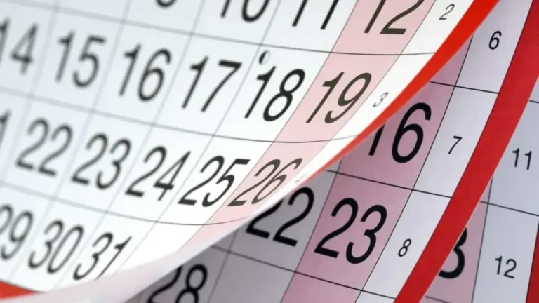 Feriadões na Bahia em novembro e dezembro: como aproveitar as folgas para descanso e viagens Feriadões na Bahia em novembro e dezembro: como aproveitar as folgas para descanso e viagens
