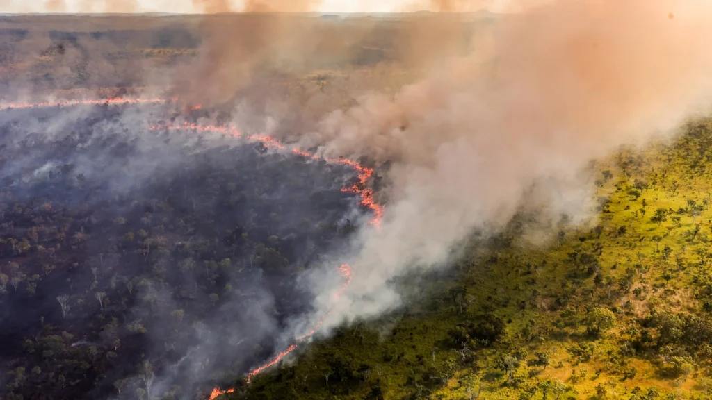 Brigadas indígenas fortalecem prevenção a incêndios com drones e mapas Brigadas indígenas fortalecem prevenção a incêndios com drones e mapas