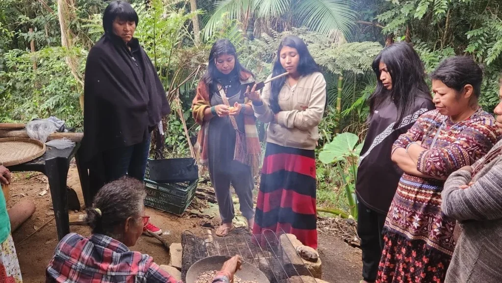Lideranças Guarani da Aldeia Kalipety Deixam Legado de Resistência e Cultura Lideranças Guarani da Aldeia Kalipety Deixam Legado de Resistência e Cultura