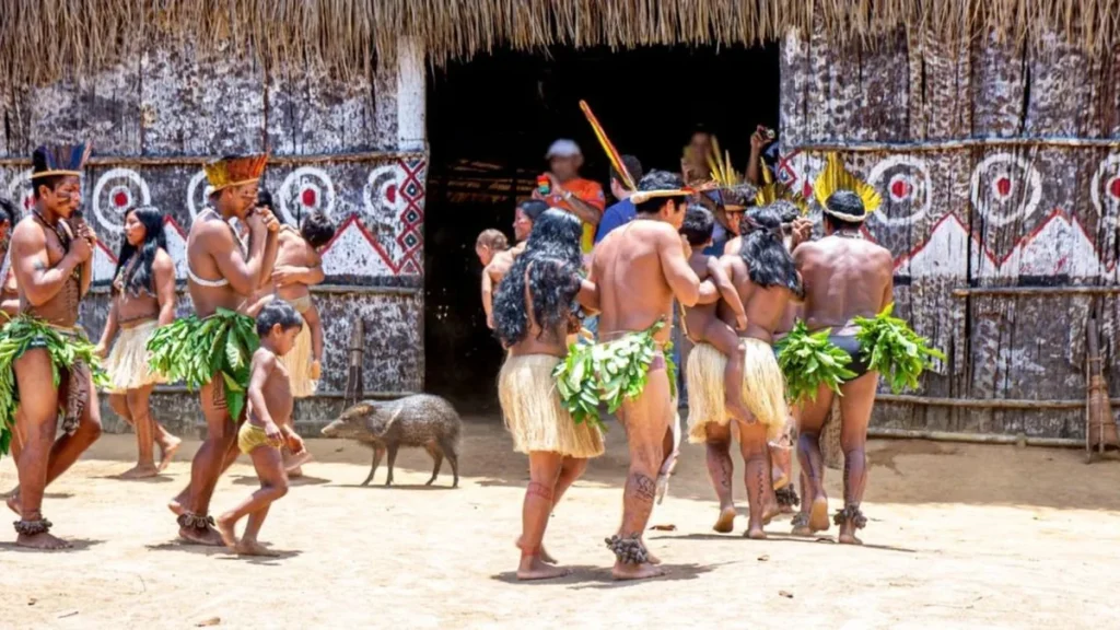 Baixa Prevalência de Demência entre Indígenas da Amazônia Revela Impacto da Mortalidade Baixa Prevalência de Demência entre Indígenas da Amazônia Revela Impacto da Mortalidade