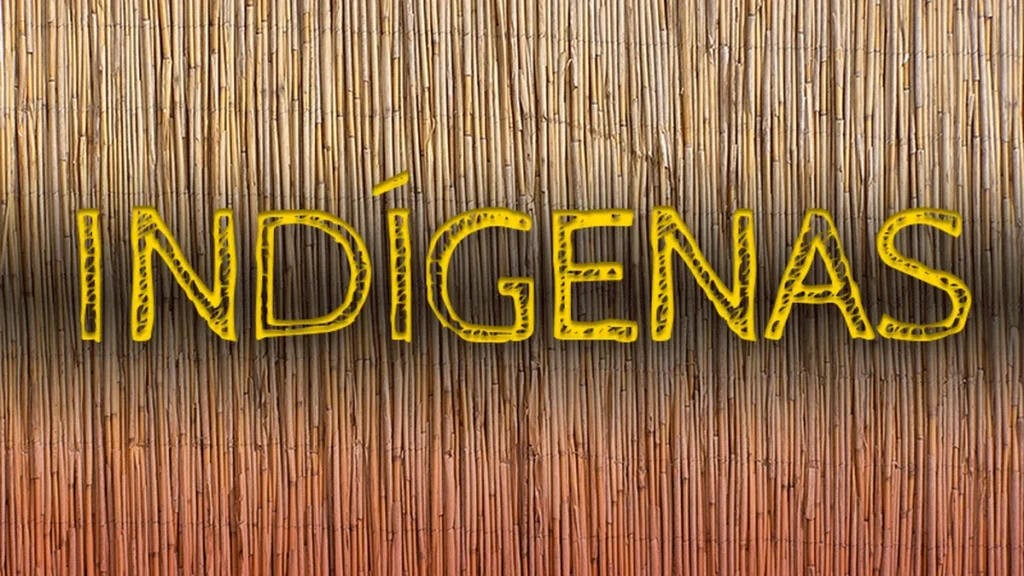 Decisão do TRF1 reforça proteção à Terra Indígena Kayapó no Pará Decisão do TRF1 reforça proteção à Terra Indígena Kayapó no Pará