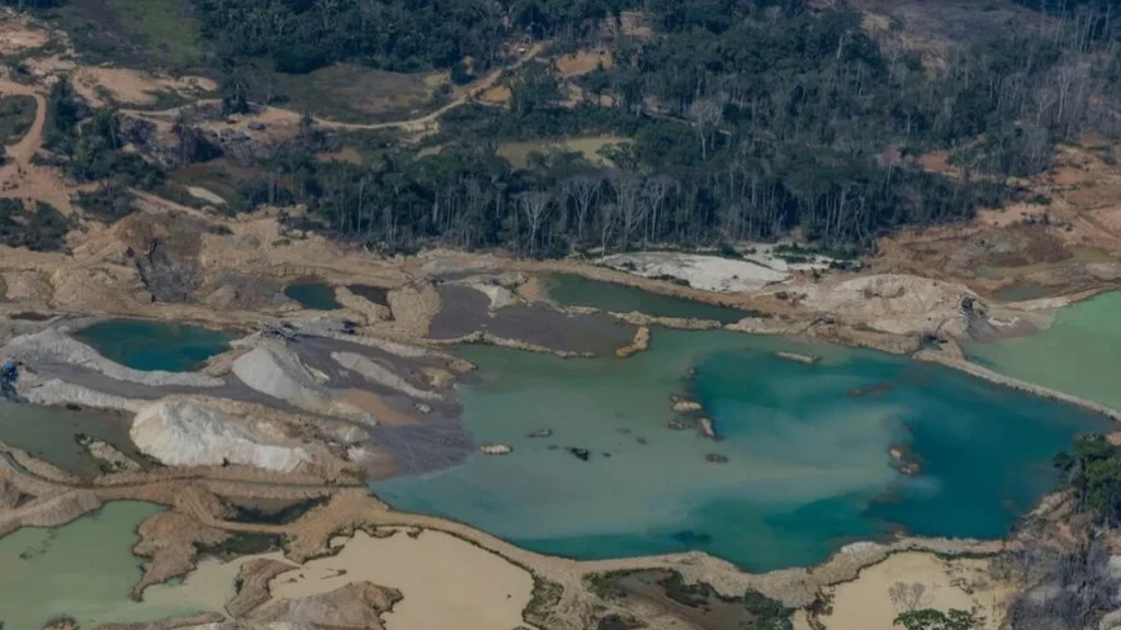 Garimpo ilegal cresce em terras indígenas e intensifica riscos climáticos na Amazônia Garimpo ilegal cresce em terras indígenas e intensifica riscos climáticos na Amazônia